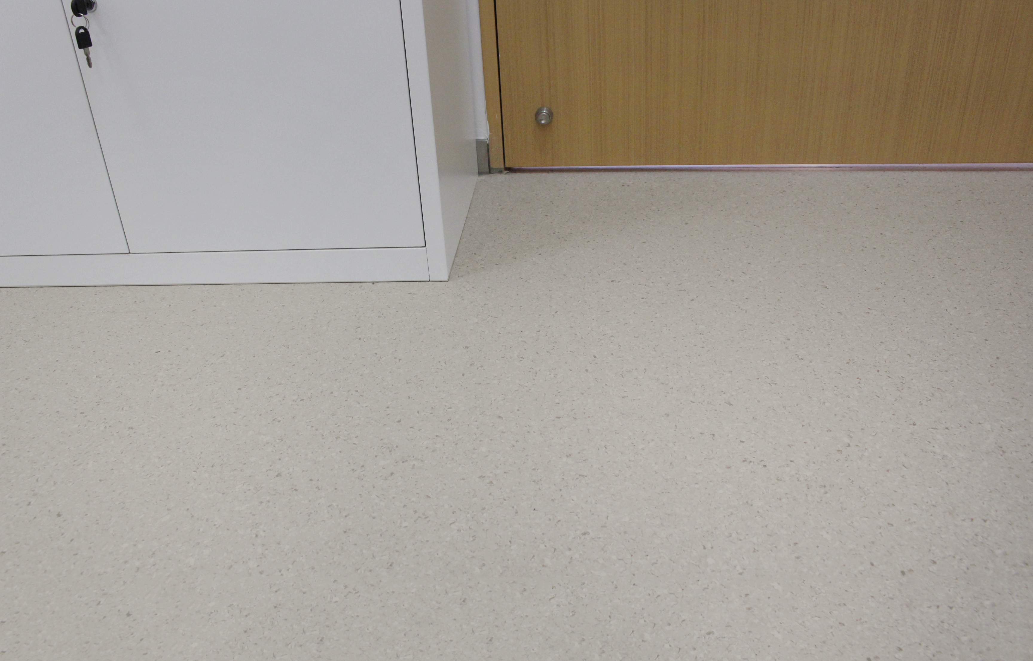 大巨龙同质透心地板