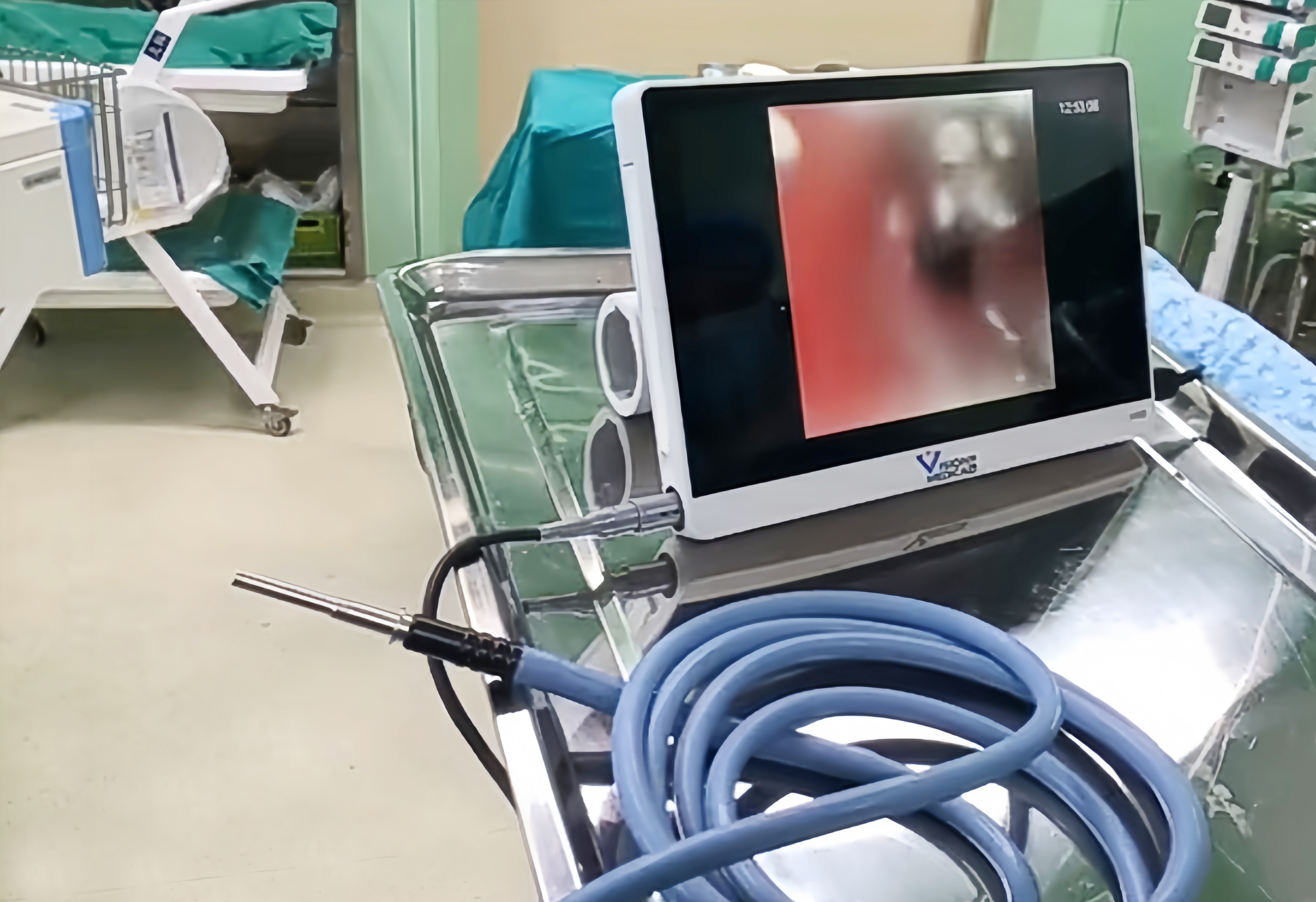 大巨龙同质透心地板